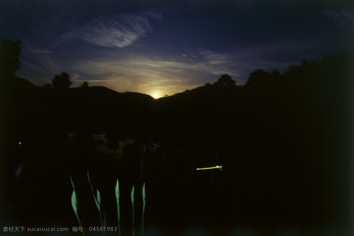 夜幕 下 昆虫 自然风光 大自然 风景 风光 田野 野外 草 摄影图片 草地 树叶 叶子 山水风景 风景图片