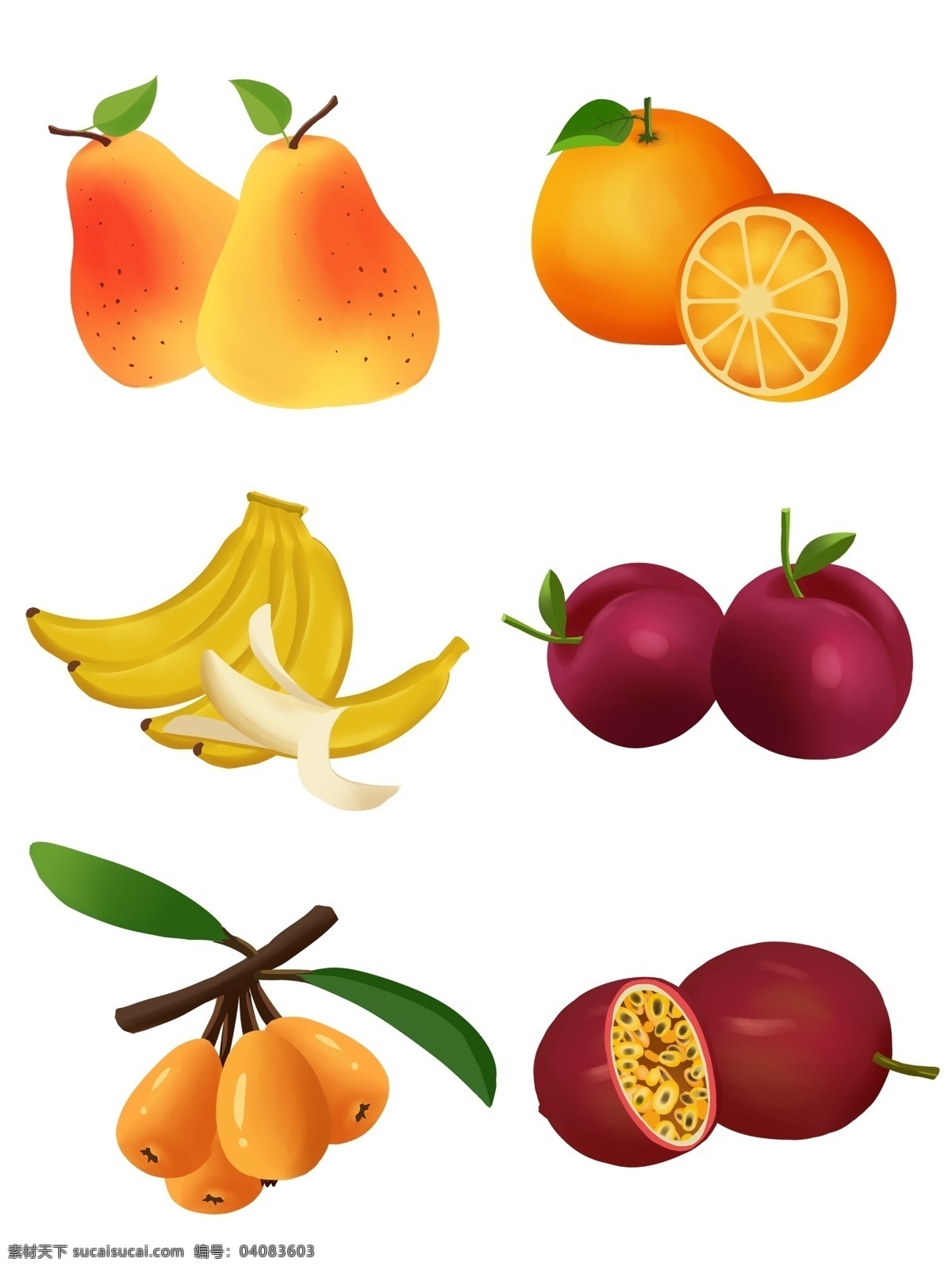手绘 水果 鸭梨 橙子 百香 果 香蕉 枇杷 梨 百香果
