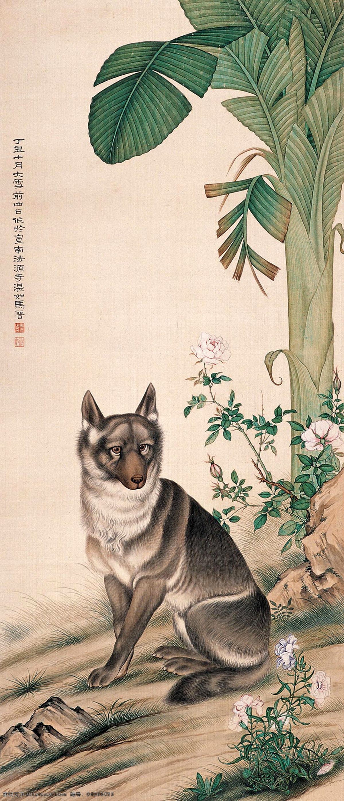 芭蕉狼犬 芭蕉 狼犬 花 草 石 狗 国画 马晋 工笔 古典 古代 绘画书法 高清 大图 艺术 传统文化 文化艺术