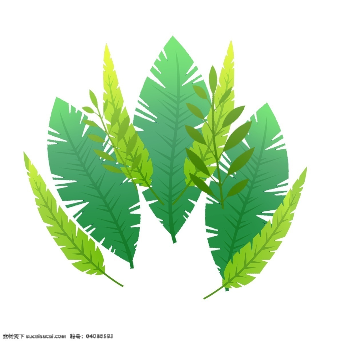 夏季 绿叶 元素 树叶 夏季元素 绿色的树叶 一片树叶 元素设计 简约 创意元素 psd元素 免抠元素