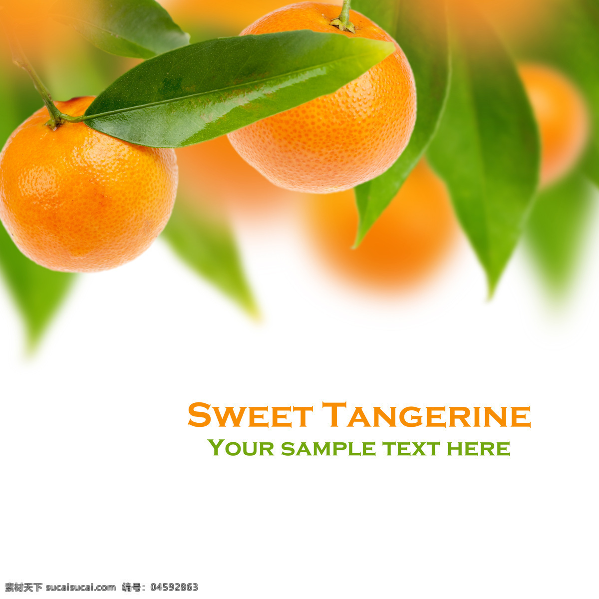 橘子 背景 橘子背景 新鲜水果 水果背景 水果摄影 农业生产 现代科技