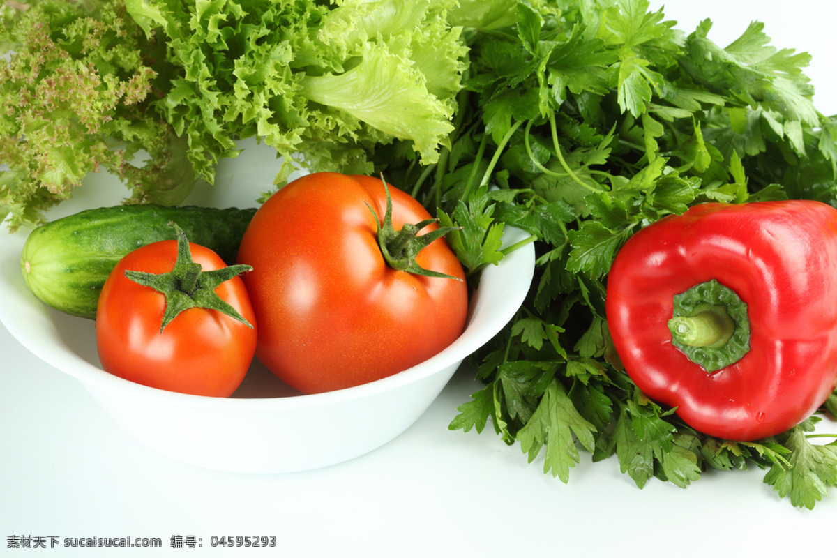 红辣椒 黄瓜 辣椒 绿色蔬菜 芹菜 生菜 生物世界 西红柿 新鲜蔬菜 香菜 蕃茄 蔬菜 蔬菜水果 风景 生活 旅游餐饮