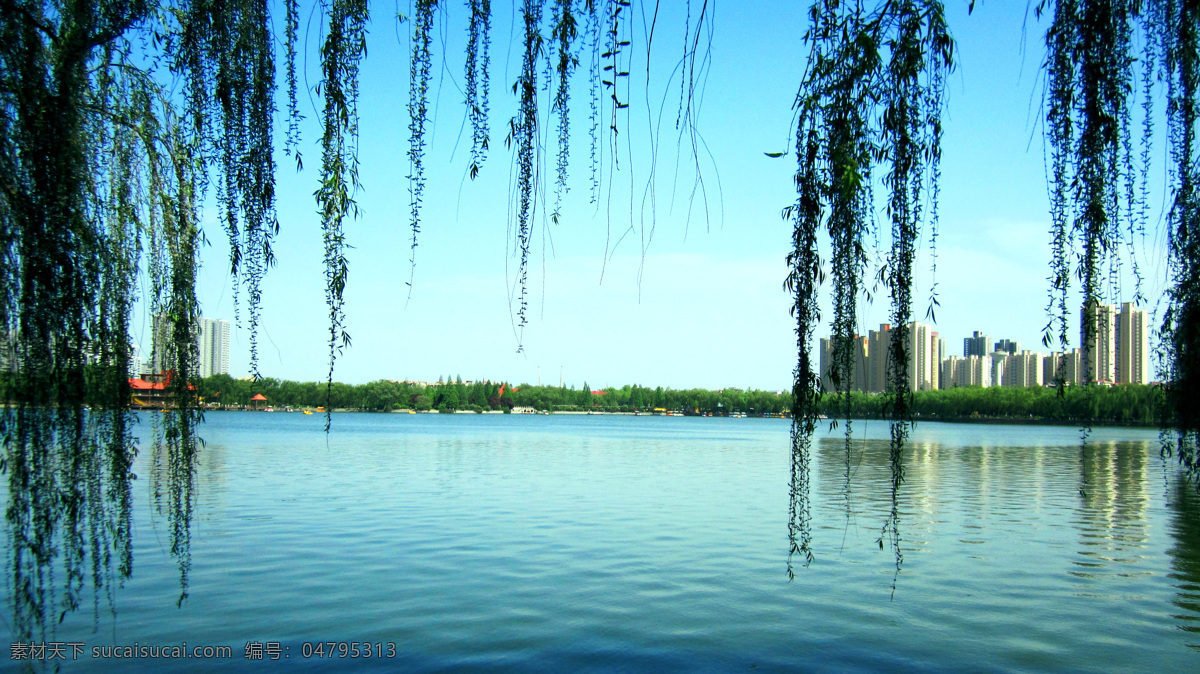 湖岸垂柳 湖边垂柳 山水风光 湖光山色 山水风景 海边风景 湖边风景 山水相连 美好江山 江山多娇 美丽湖岸 杨柳依依 云龙湖 自然景观 自然风景