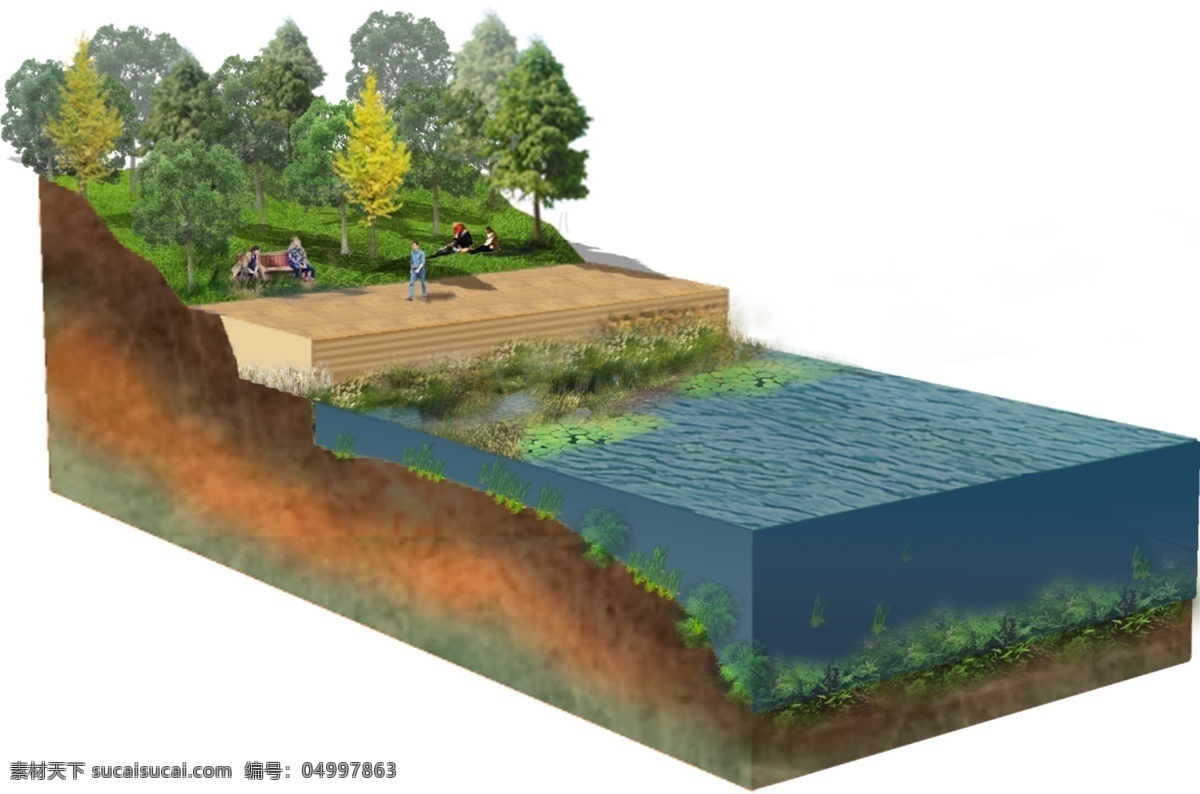 河道断面分析 河道 断面 psd分层 湿地 海绵城市 断面分析 分析用 驳岸 驳岸分析 驳岸断面 源文件 环境设计 景观设计