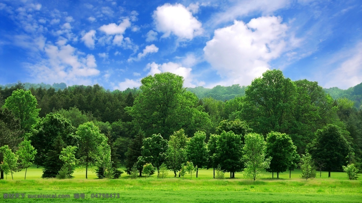 蓝天白云草地 蓝天 白云 草地 绿树 森林 童话场景 旅游摄影 唯美的风景 风景摄影 国外草地 自然景观 自然风景