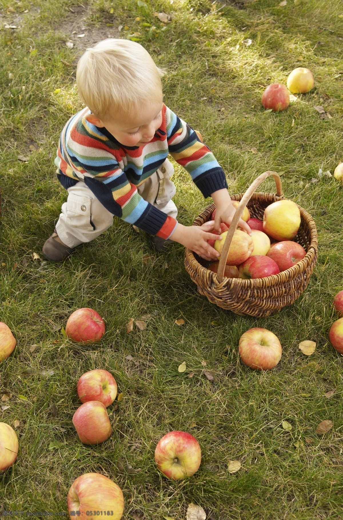 苹果 儿童 草地 苹果摄影 苹果素材 水果 儿童摄影 小孩 儿童图片 人物图片