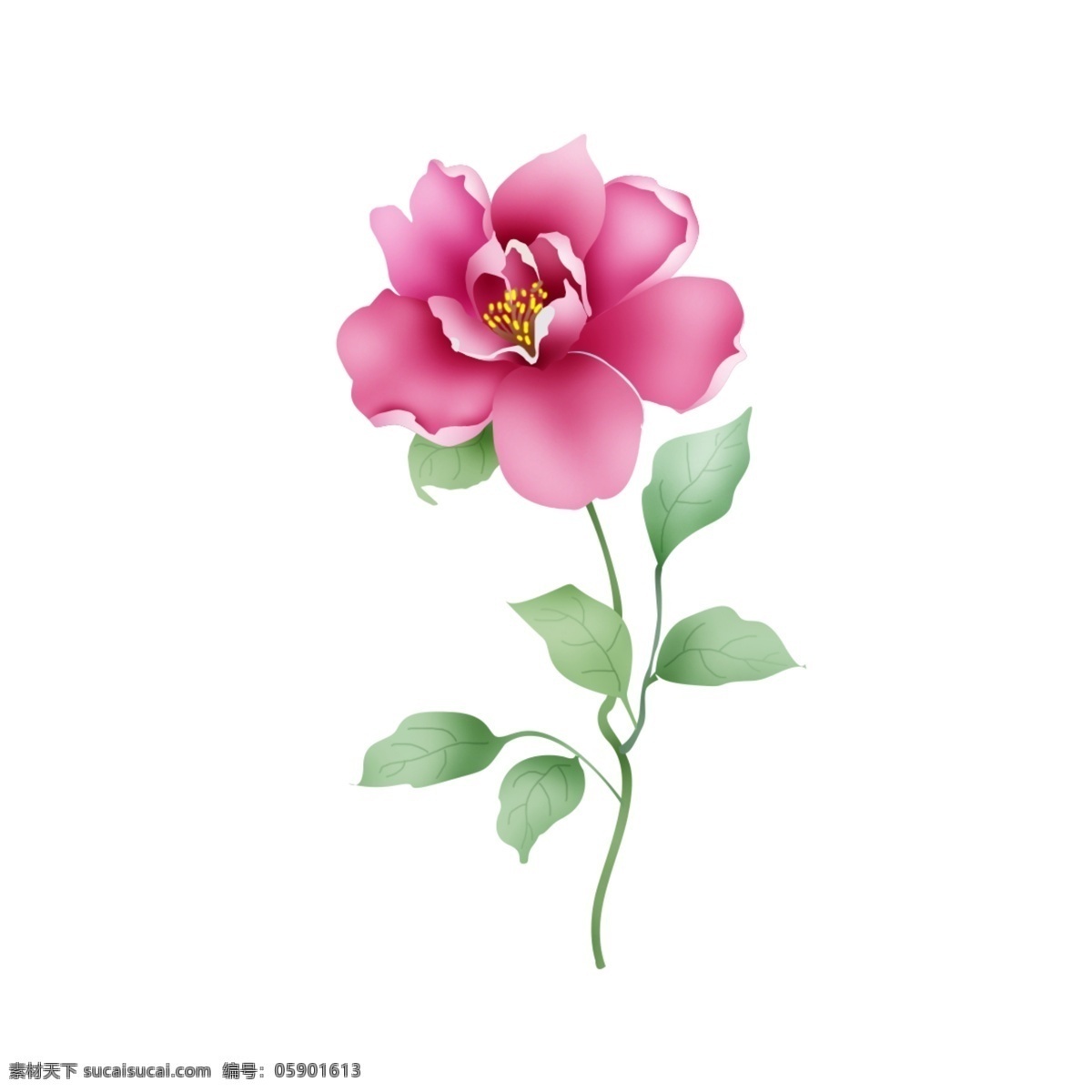 小 清新 矢量 手绘 茶花 支 小清新 矢量茶花 手绘茶花 粉色