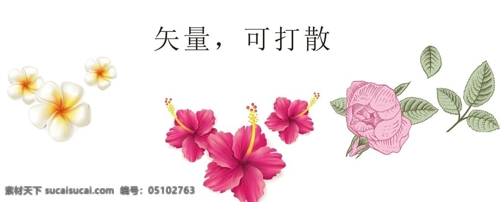 矢量花 兰花 矢量鲜花 矢量兰花 清新花朵 清新 花 玫瑰花 矢量玫瑰