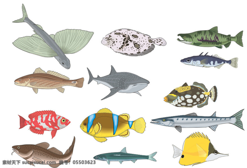 鱼 动漫 动画 特种 特种鱼 cdr杂章 动漫动画 白色