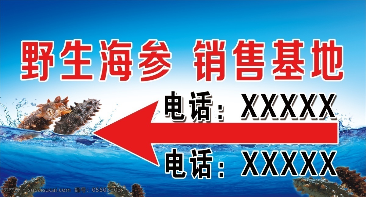 野生海参 野生 海参 销售 方向 分层 背景素材