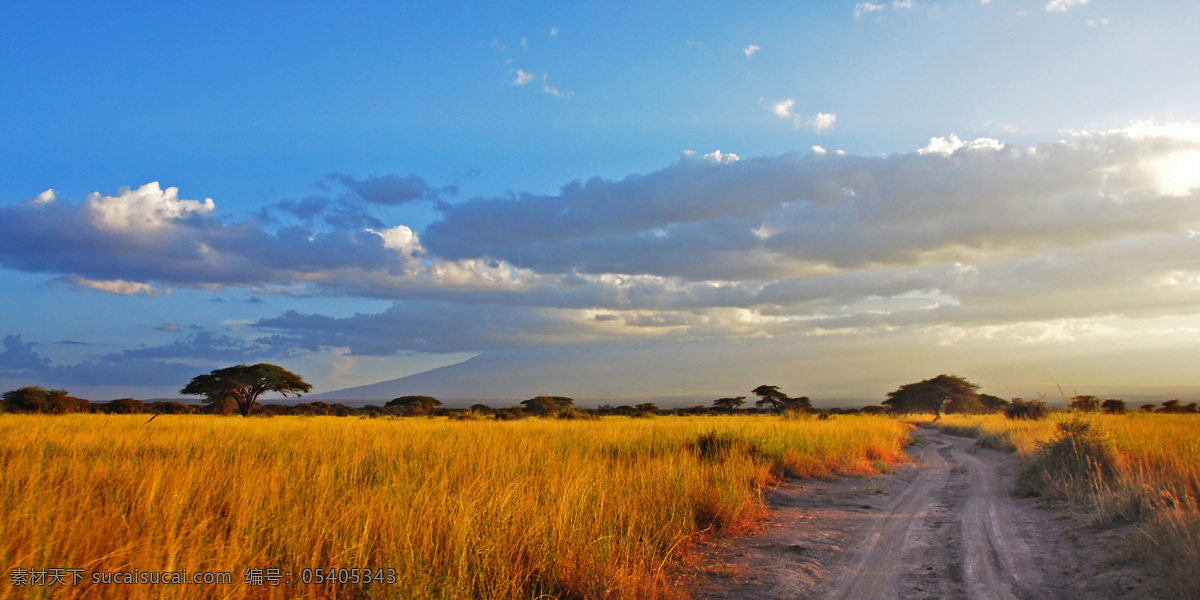 非洲草原风景 平面风景 美丽非洲风景 风景摄影 美景 景色 自然风景 自然景观 蓝色