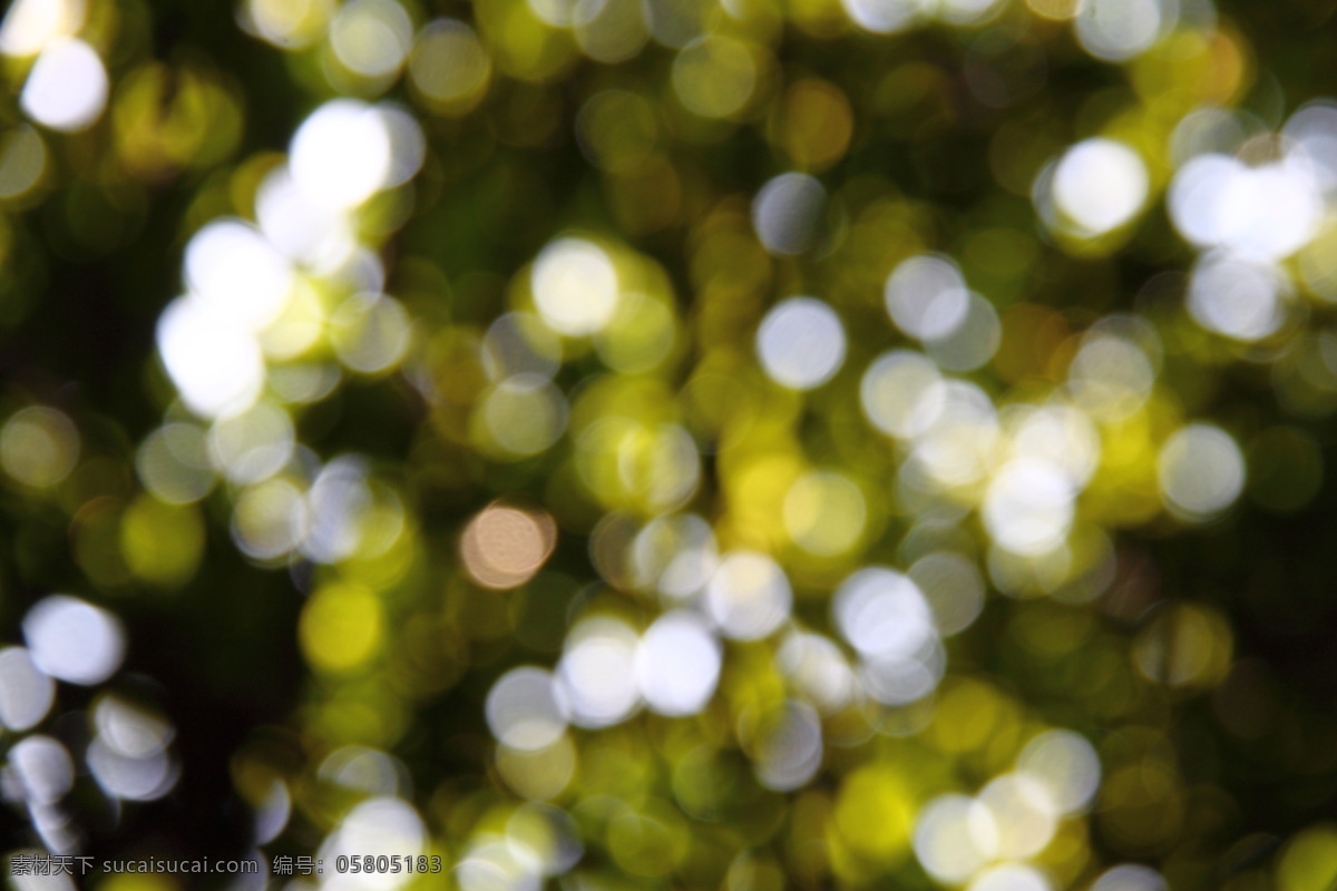 树影光斑 树影 光斑 绿色 ps 背景 旅游摄影 自然风景