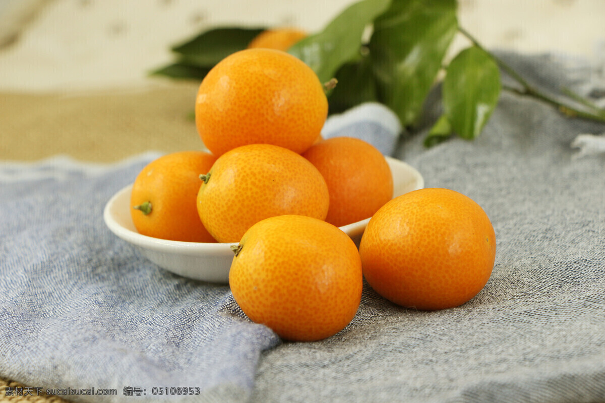 绿叶 小金桔 小金桔水果 水果 绿色食品 生物世界