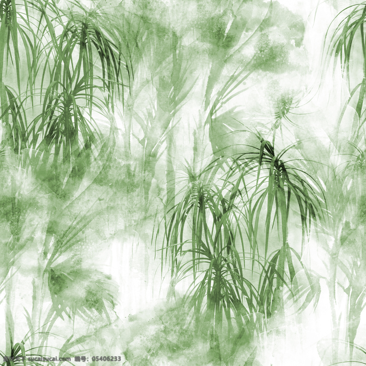 植物图片 植物 热带植物 花卉 龟背竹 叶子 万年青 花朵 鹤望兰 花草 定位花 柳树