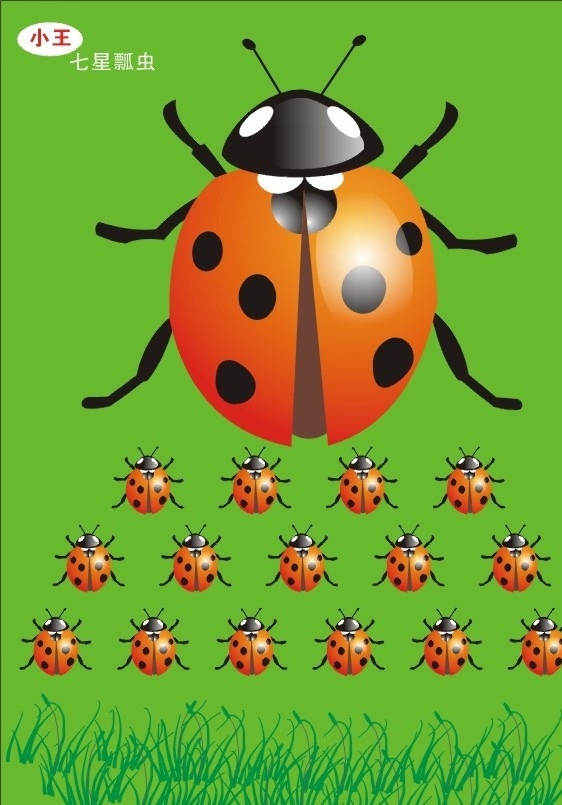 七星瓢虫 瓢虫 昆虫 虫子 大群的虫子 草 动物 卡通 卡通虫子 卡通画 矢量