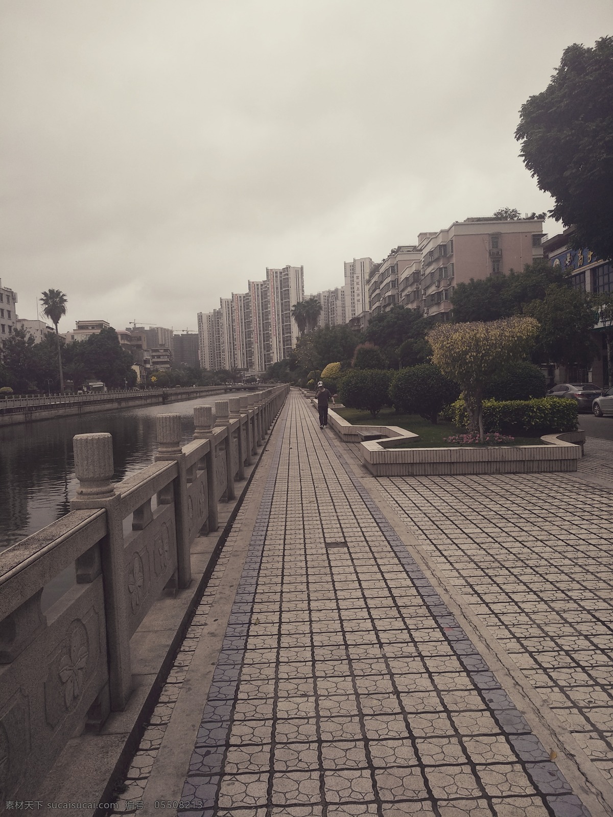 河边 实拍河 江边 高楼 城市 市区 一角 自然风光 植物 风景 旅游 水 自然景观 自然风景