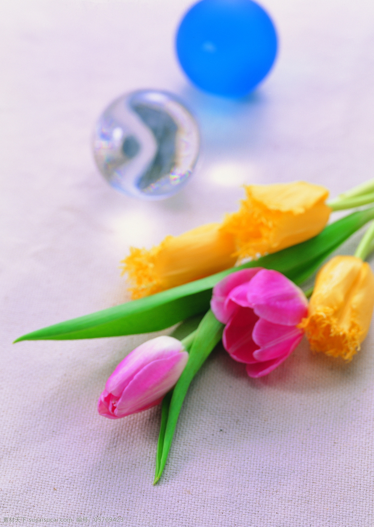 花艺 摆设 花 花卉 鲜花 花艺摆设