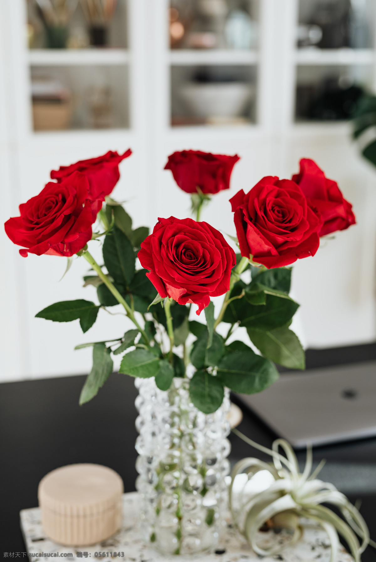 漂亮的红玫瑰 玫瑰花 花朵 花束 情人节 浪漫 表白 爱情 红玫瑰 玫瑰素材 一束花 花瓣 送花 结婚 求婚 求爱 追求 花瓶 生活百科 生活素材