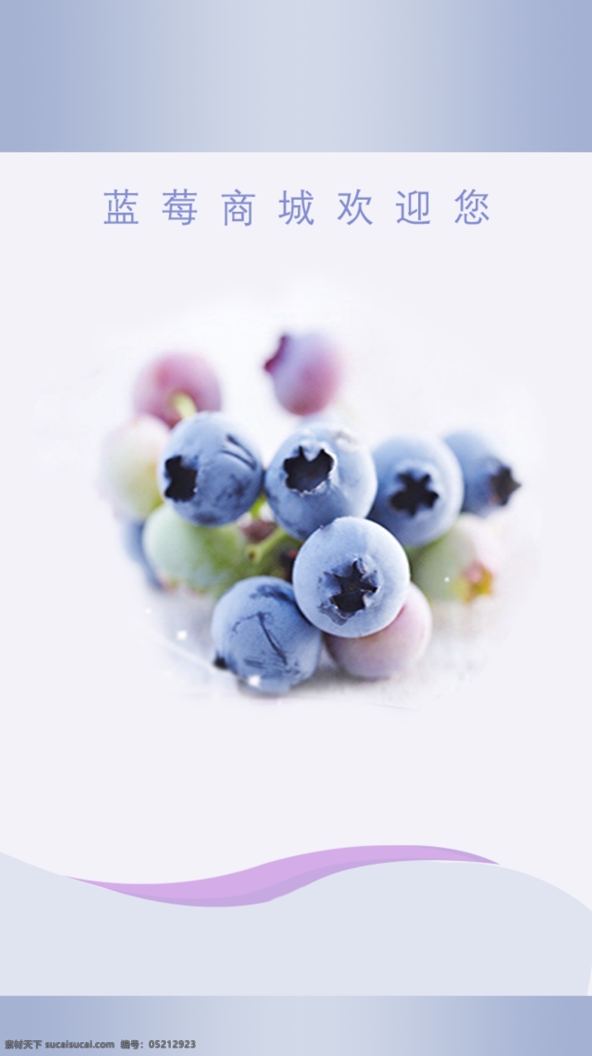 蓝莓启动界面 手机 app 蓝莓 app蓝莓 蓝莓启动画面 蓝莓背景 淘宝界面设计 淘宝装修模板