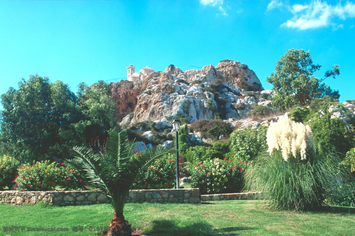 森林 风光 背景 风景 季节 旅游 森林风光 摄影图库 树 树林 树木 休闲 自然 自然风景 自然景观 生活 旅游餐饮