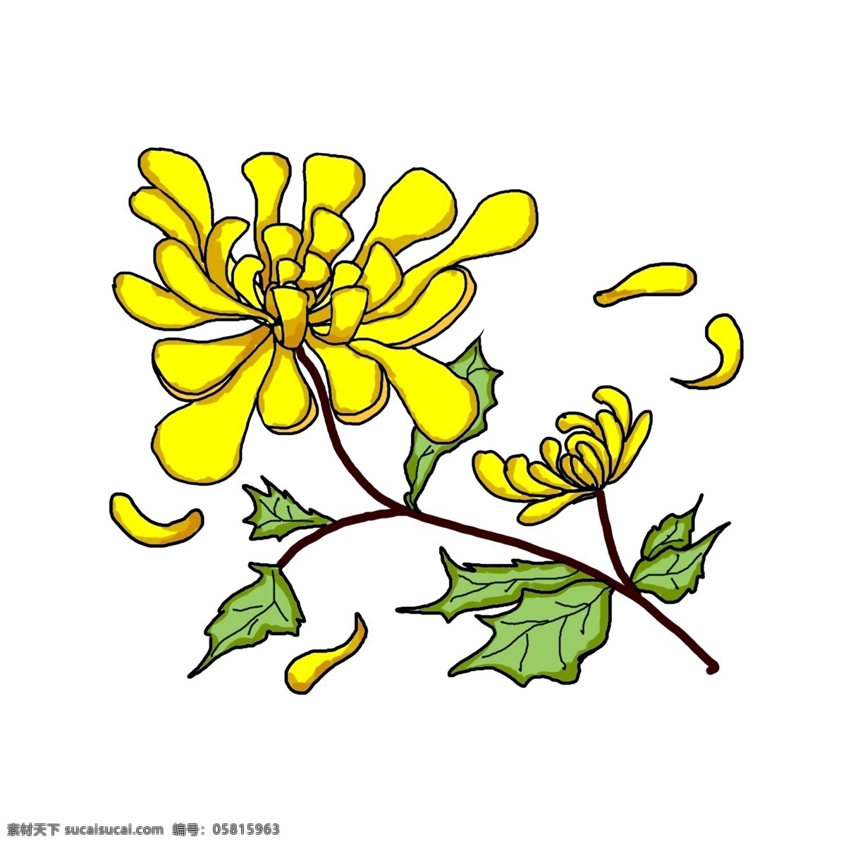 灿烂 花色 菊花 商用 元素 黄色 重阳 清明 简洁 手绘