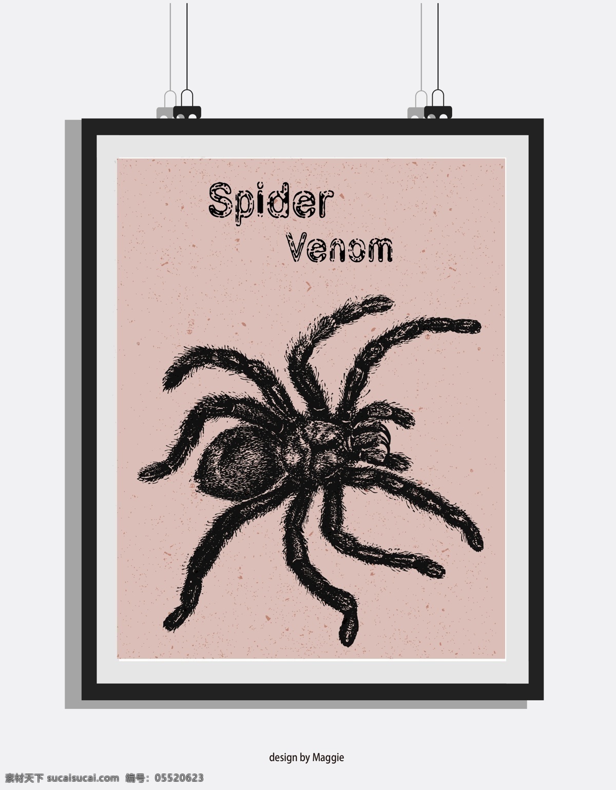 欧式 复古 手绘 蜘蛛 黑白 版画 装饰画 昆虫 毒蜘蛛 原创海报设计 移门图案