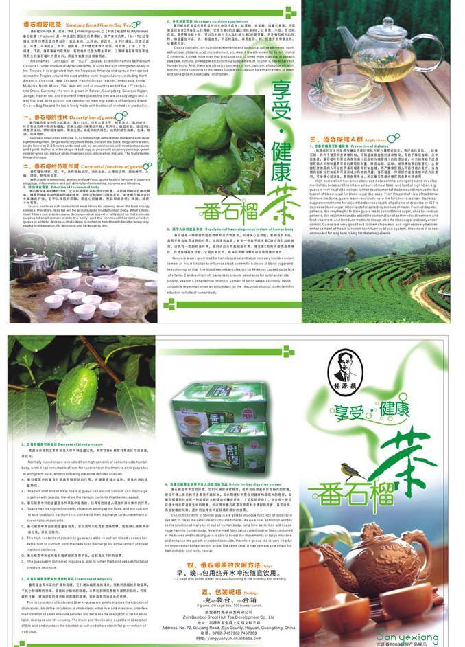 番石榴 茶 三 折页 广告 茶叶广告 茶叶三折页 矢量图库 psd源文件