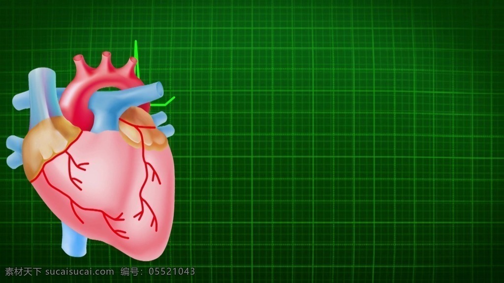 视频背景 实拍视频 视频 视频素材 视频模版 心脏 跳动 绿色 线条 统计 心脏跳动 心脏频率