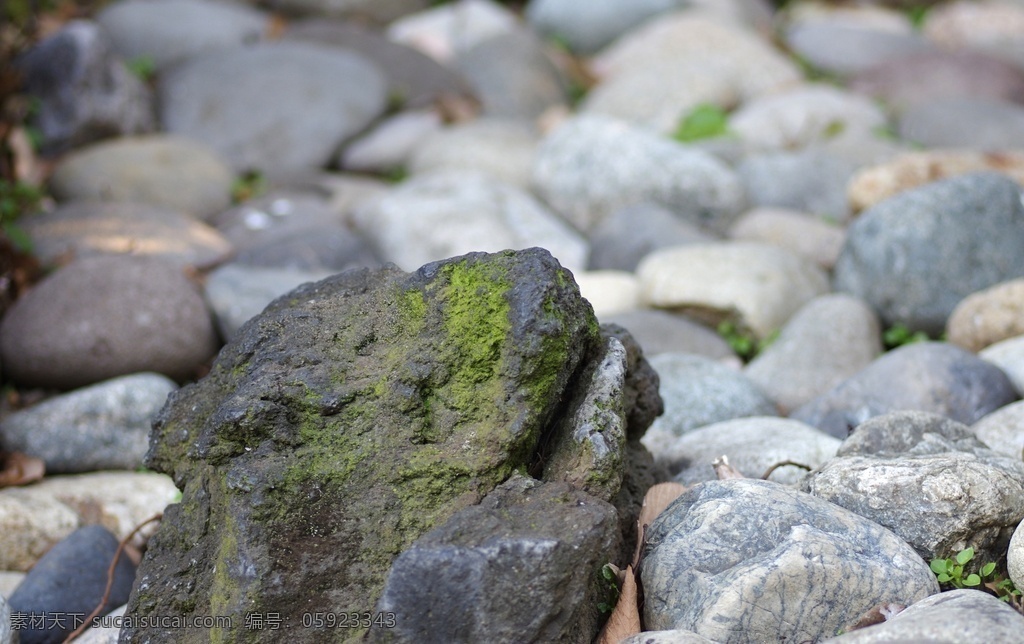 长青苔的石头 鹅卵石 青苔 石头 自然 岩石 自然景观 自然风景