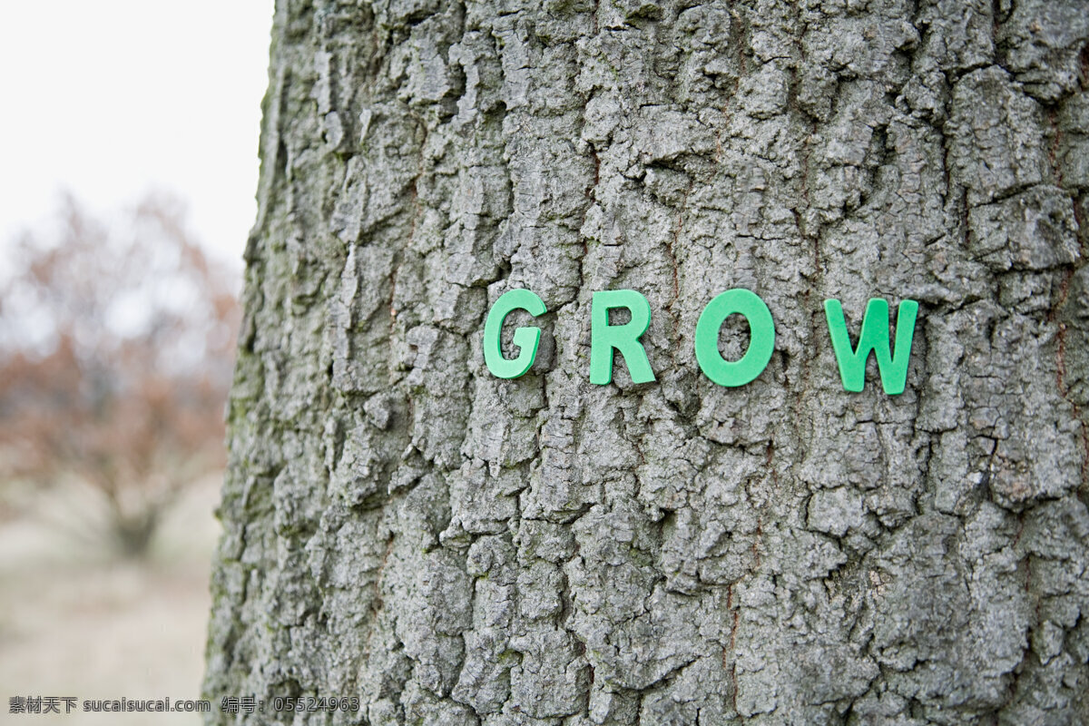 树干 上 贴着 绿色 英文 字母 grow 成长 英文字母 字体 亚克力 标牌 植物 绿植 大树 树皮 树木 照片 高清大图 高清图片 花草树木 生物世界