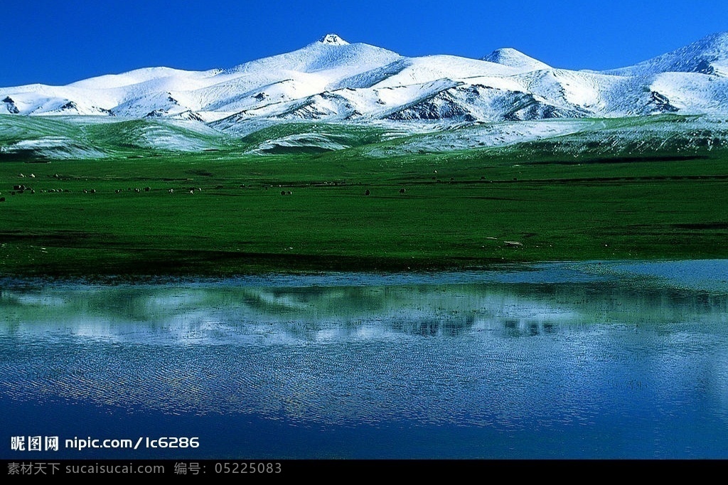 新疆图片 雪山 草地 湖水 牧场 蓝天 倒影 旅游摄影 国内旅游 摄影图库