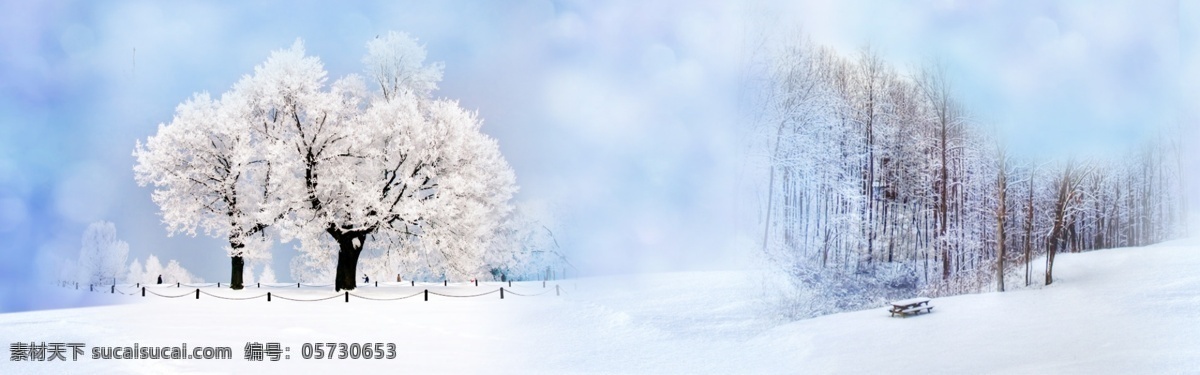 冬季 主题 全 屏 背景 雪 树 冬天 背景素材 淘宝 天猫 1920 全屏背景 淘宝背景 天猫背景 psd格式 白色