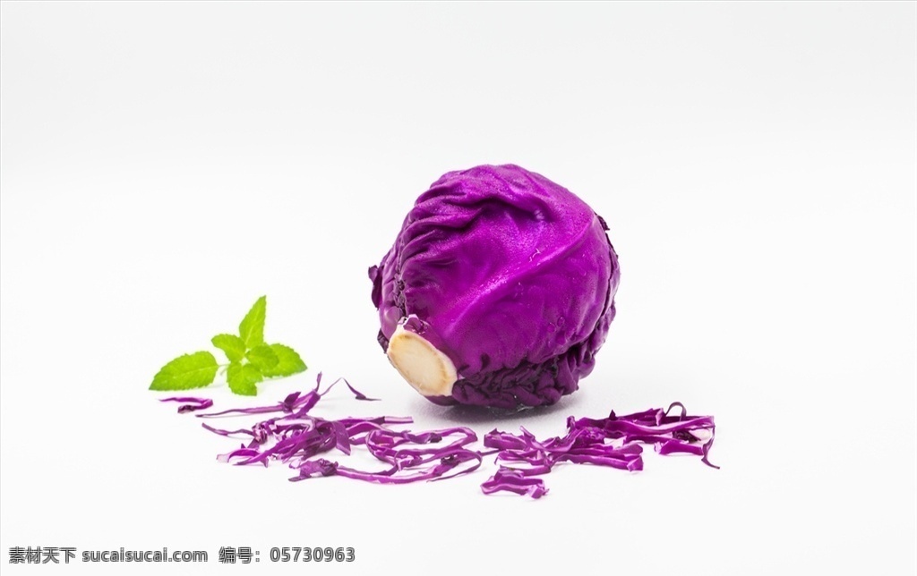 紫包菜 紫甘蓝 红甘蓝 紫洋白菜 紫茴子白 包菜 蔬菜 食物 食材 餐饮美食 食物原料 食物原料01