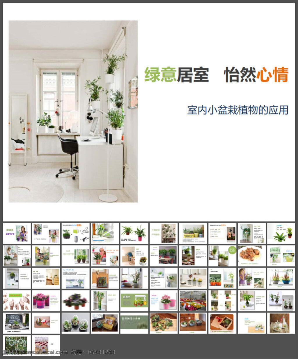 室内 盆栽 种植 模板 图表 制作 模版素材下载 pptx 白色 多媒体 企业 动态