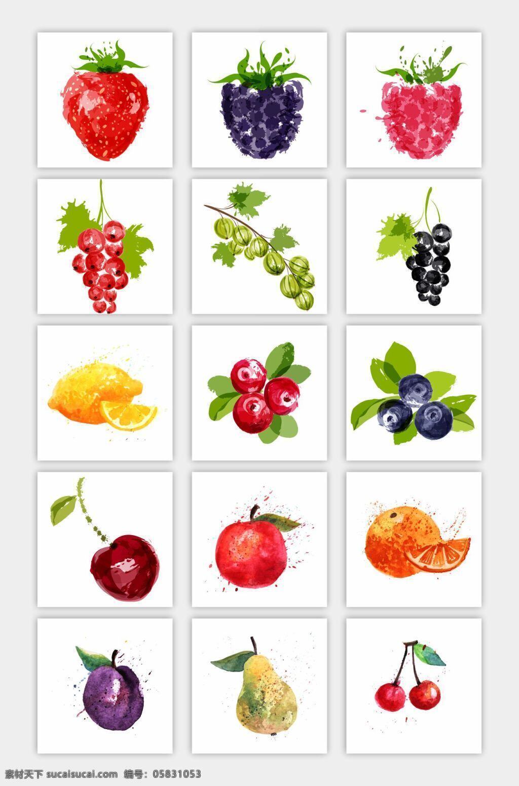 水果 手绘 装饰 图案 葡萄 樱桃 卡片 15款水果