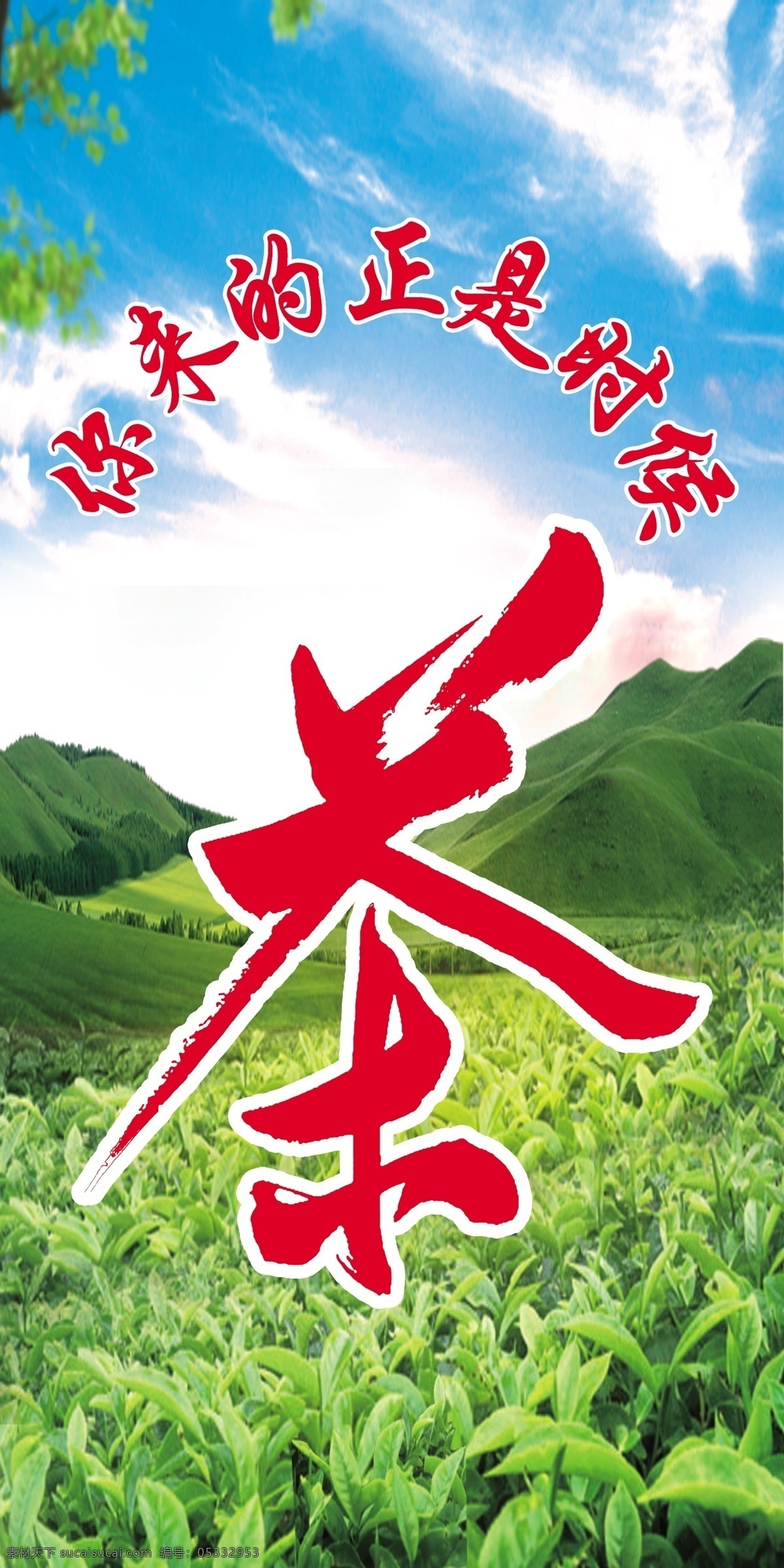 安化黑茶 茶叶 茶 华莱健 六大茶系 黑茶九大功效 金花 黑茶调理反应 黑茶产品 马古道 32个唯一