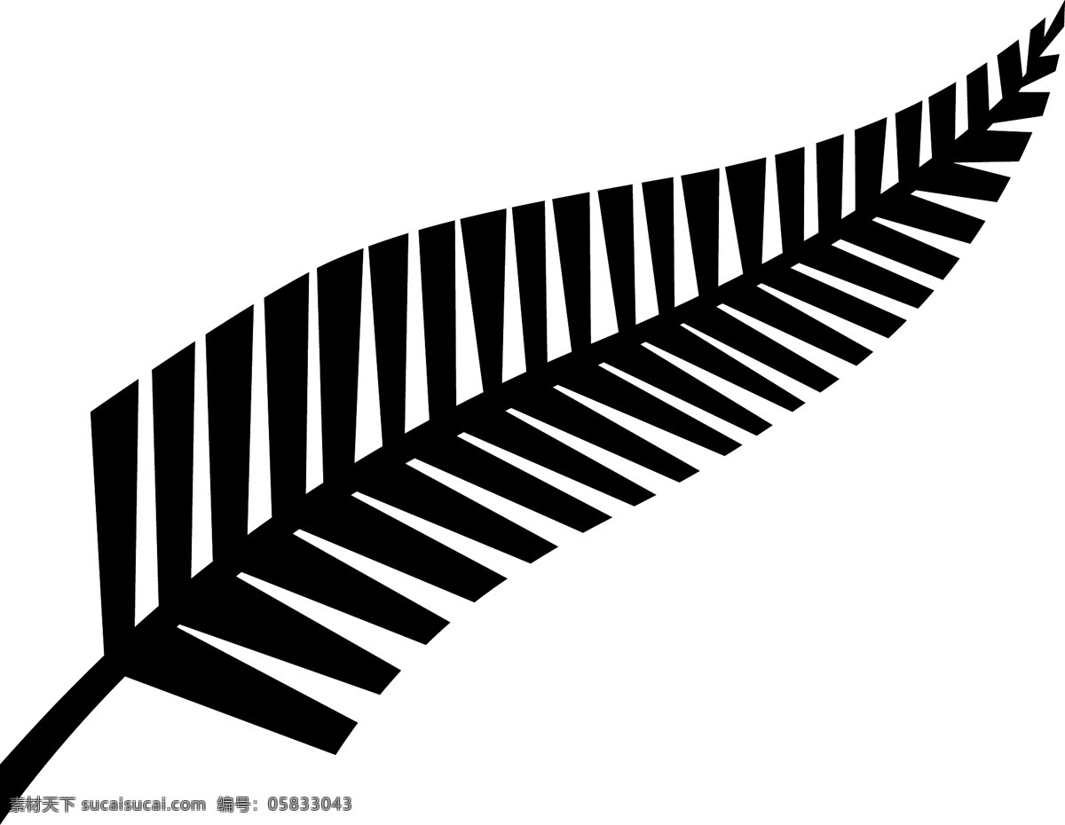 新西兰 橄榄球 联盟 蕨类植物 标识 公司 免费 品牌 品牌标识 商标 矢量标志下载 免费矢量标识 矢量 psd源文件 logo设计