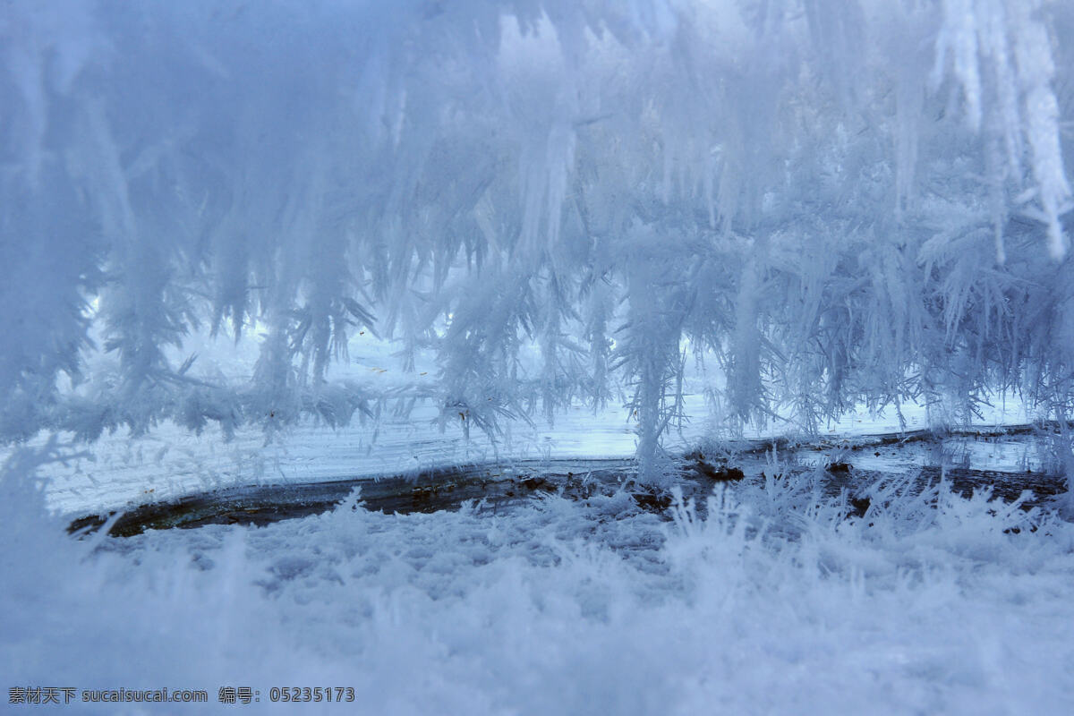 雪景 冰雪景色 自然风景 冬季 冰雪 白色 雪 自然风光 雪白 冰雪世界 自然景观 蓝色