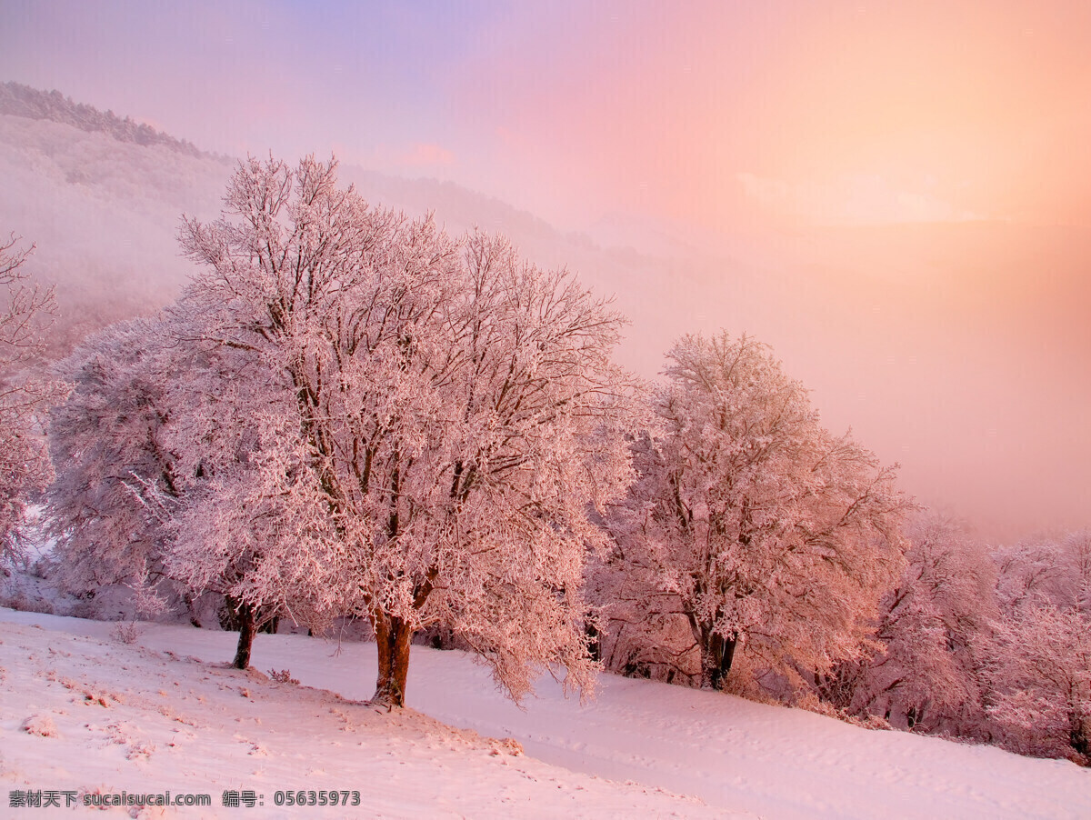 冬季 雪景 冬天 美丽风景 景色 美景 积雪 雪地 森林 树木 雪景图片 风景图片