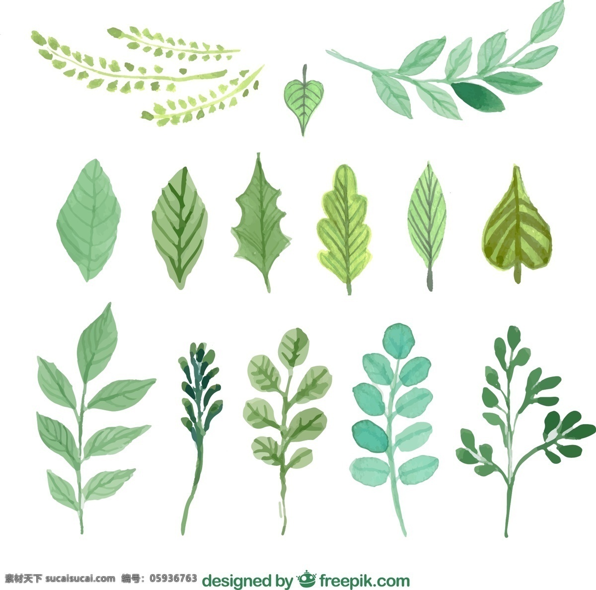 绿色 水彩 树叶 植物 叶子 矢量图 格式 矢量 高清图片