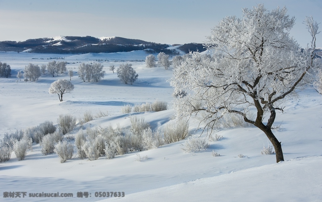 雾凇图片 雾凇 雾凇岛 树挂 吉林 冰柱 自然景观 树 冰天雪地 雪景 唯美 下雪 雪花 雪 霜降 霜 白雾 大寒 小寒 冬天 冬景 旅游摄影 国内旅游