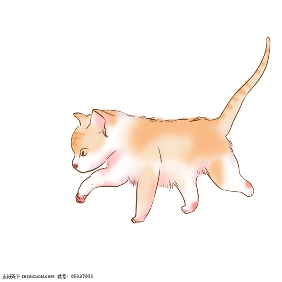 手绘 萌 宠 猫咪 动物 卡通 萌宠 宠物 小猫 走路 插画