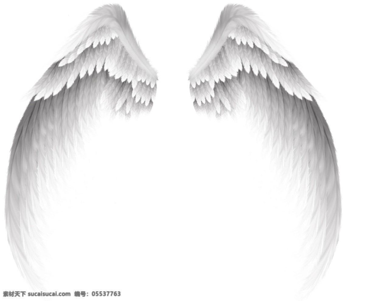 天使的翅膀 免扣素材 透明背景 方便 快捷 省事