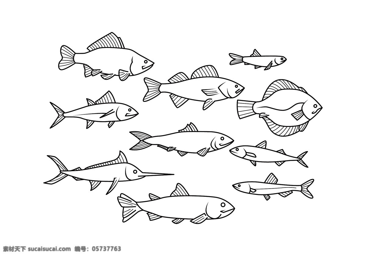 矢量 手绘 鱼 海洋生物 矢量素材 矢量鱼 手绘动物 手绘鱼
