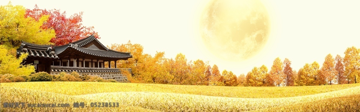 日落 黄昏 秋季 落叶 banner 背景 黄色 萧条 凄凉 草地 稻穗