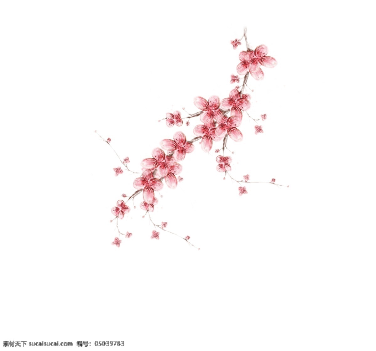 桃花花枝 桃花 花素材 花底纹 花背景 花卉卡片 花卉名片 蝴蝶 花枝 花朵 花卉印花 情人节海报 卡通设计 爱情 鲜花 love 卡通背景 卡通 卡通墙纸 包装纸 墙纸 壁纸 花卉 花 花卉背景 花枝花束