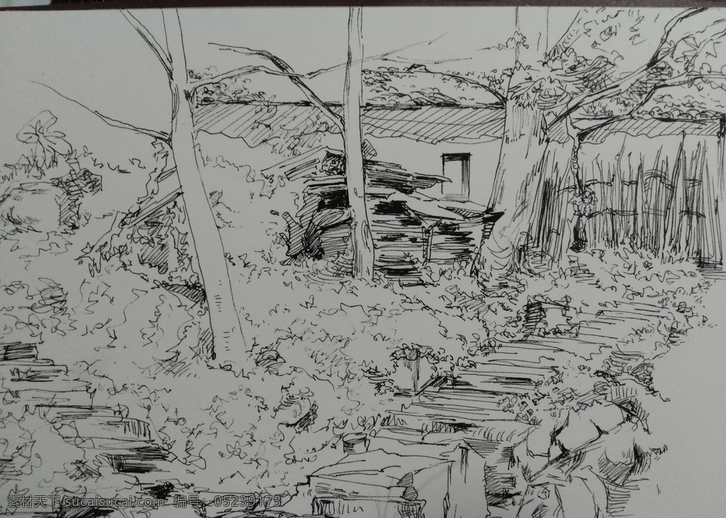 山坡小屋 小屋 风景 山坡 速写 写生 动漫动画 风景漫画