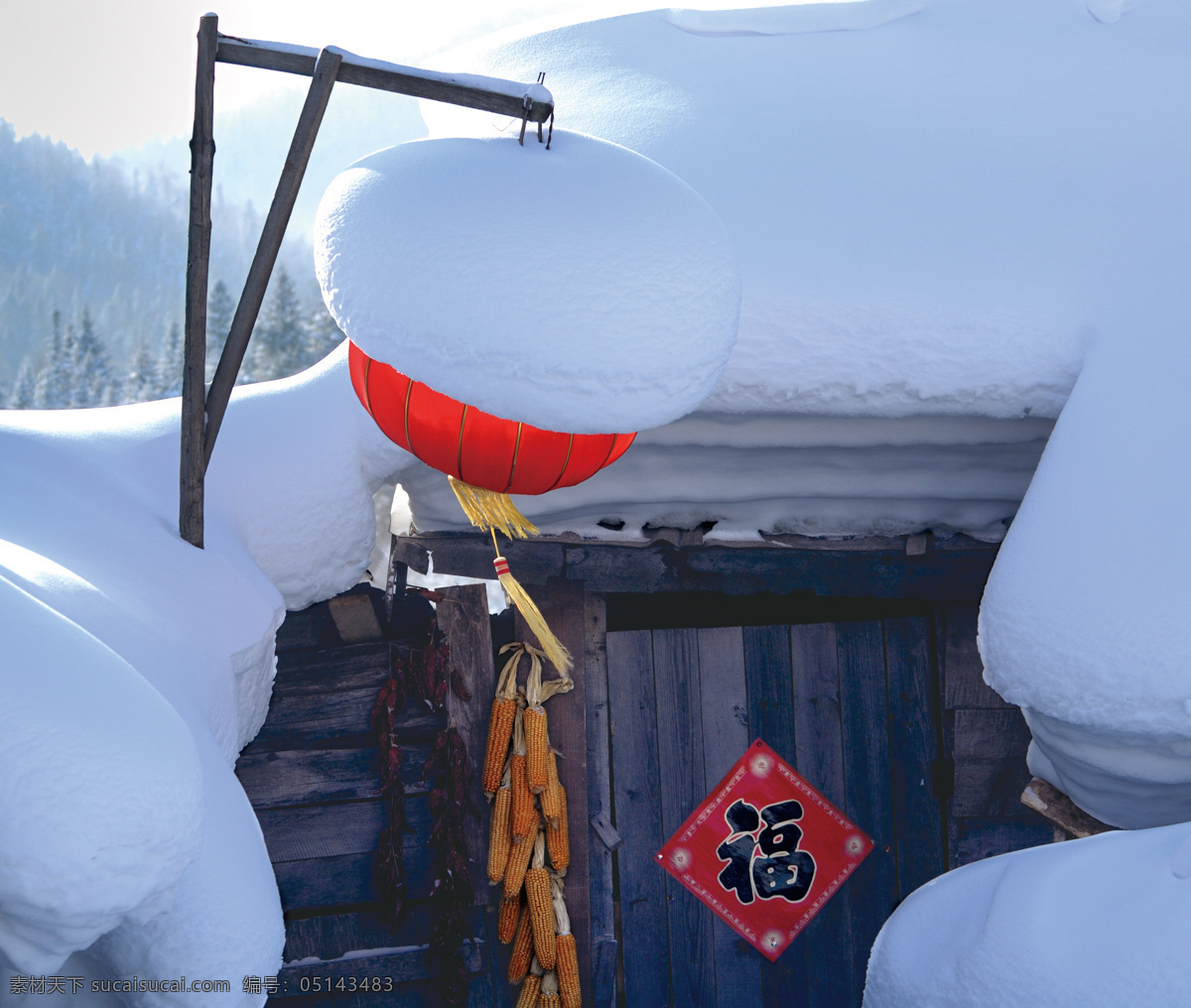 中国雪乡 哈尔滨 东升雪乡 长白山 吉林滑雪 雾凇岛 风景图 高清 旅游摄影 国内旅游 蓝色