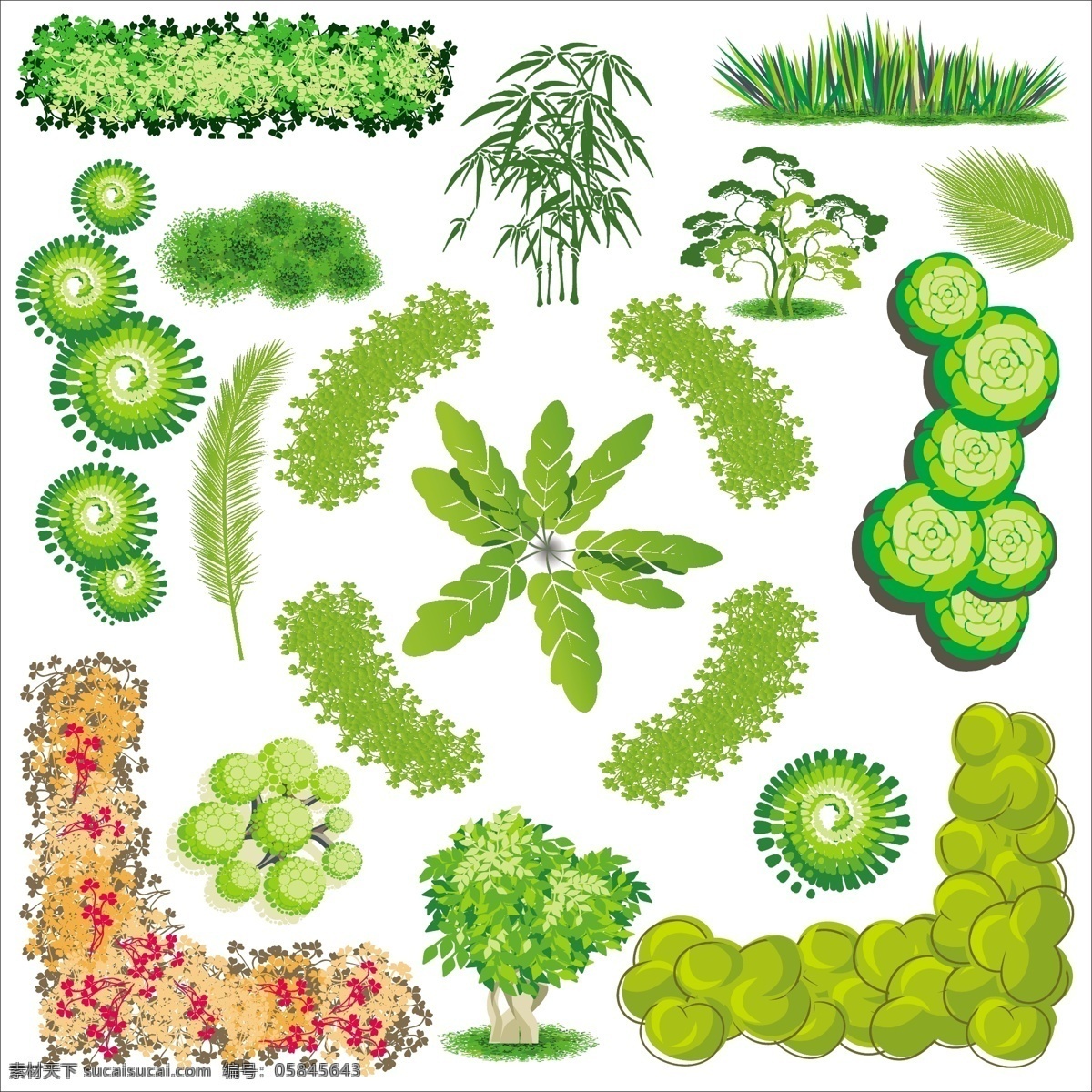 精美 卡通 景观 树木 矢量 卡通树 插画 树木植物 插图 花草 生物 世界 白色