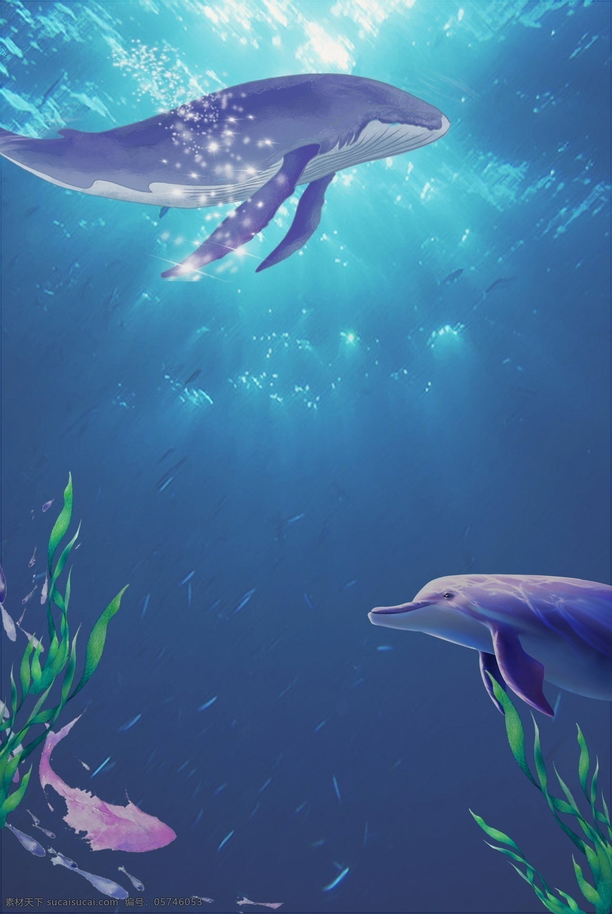 清新 夏日 海底 世界 海豚 海草 鱼 鲸鱼 背景